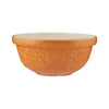 Mason Cash Home To the Roost Orange Mixing Bowl 24cm