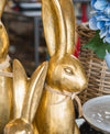 Holly & Ivy Provincial Gold Hare 50cm