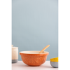 Mason Cash Home To the Roost Orange Mixing Bowl 24cm